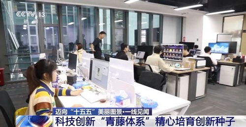 一线见闻丨顺藤摸瓜 深圳科创青藤体系如何赋能硬科技转化