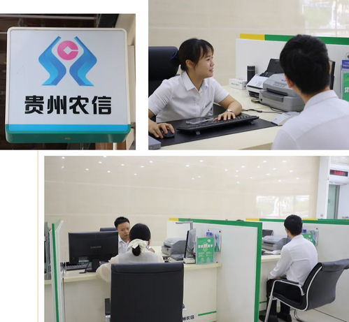 金融活水润万山系列报道之一 信息技术咨询服务助力万山破解养殖融资难题